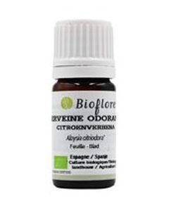 Scented Verbena (Lippia citriodora) BIO, 2,5 ml